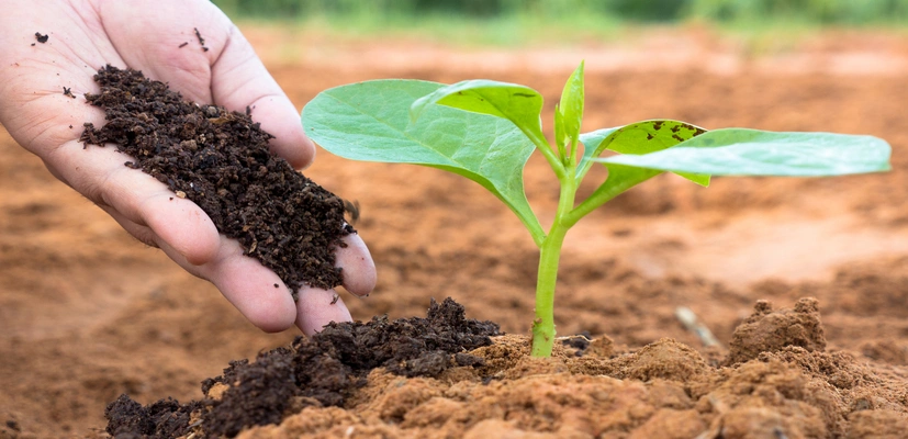 rsz_composting-vermicomposting-makes-your-garden-grow_nc-state-extension_homegrown